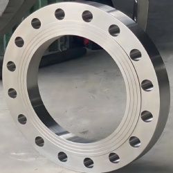 PLATE FLANGE